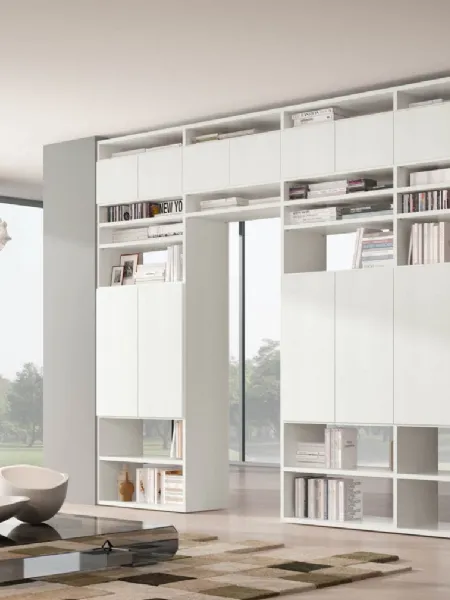 Libreria divisoria living 76D autoportante e passante composta da ante e vani a giorno bifacciali di Ferrimobili