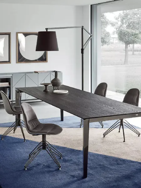 Madia Pica di Bontempi