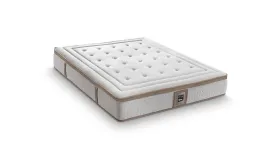 Talea Plus