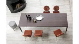 Echo IN